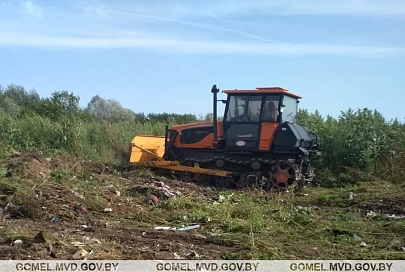 В Лоевском районе уничтожили полгектара конопли